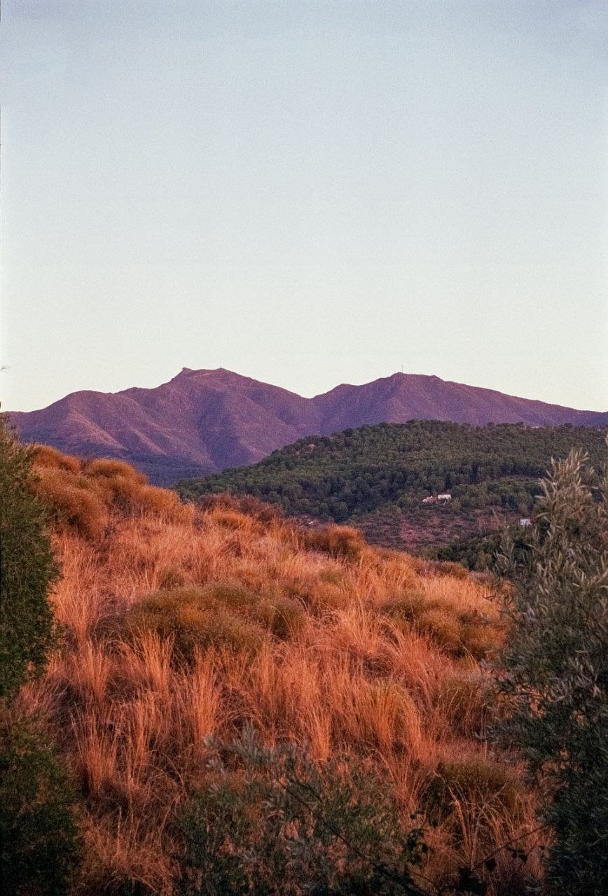 Paysage de collines et de maquis en Espagne, au coucher du soleil
